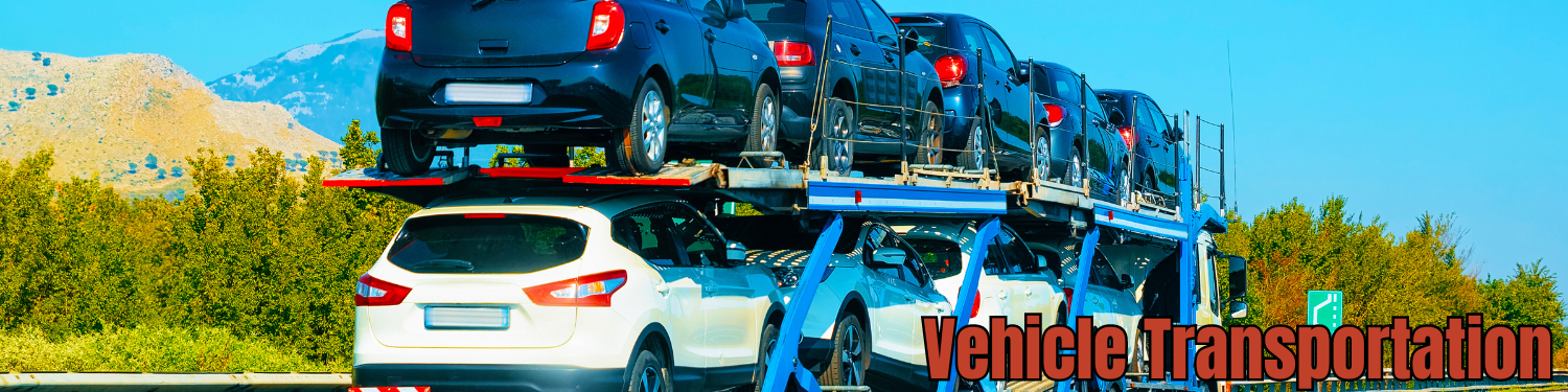 Chapter 9: Vehicle Transportation Overview Banner